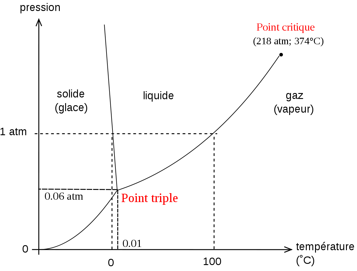 Statistique descriptive