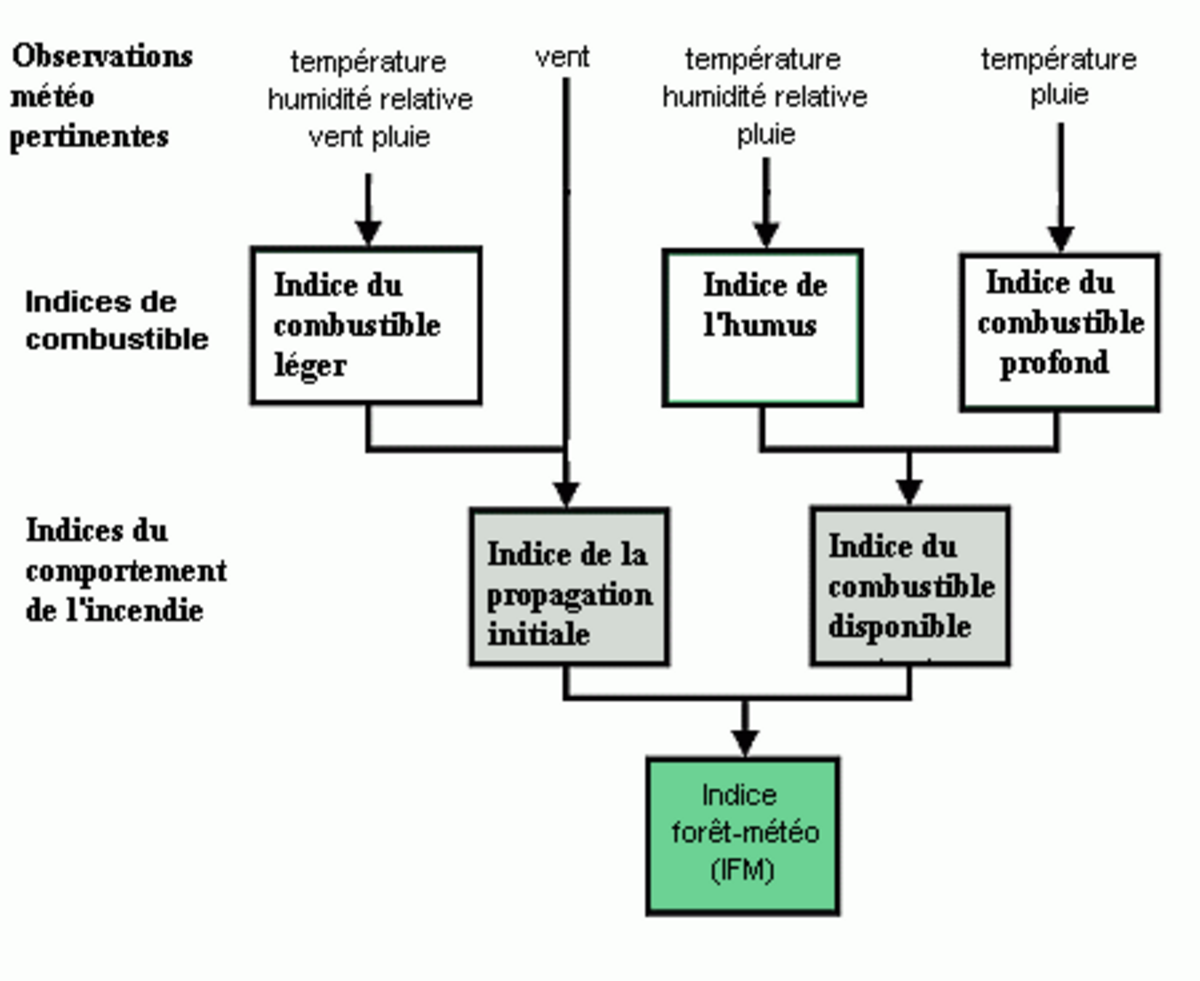 Indice forêt météo