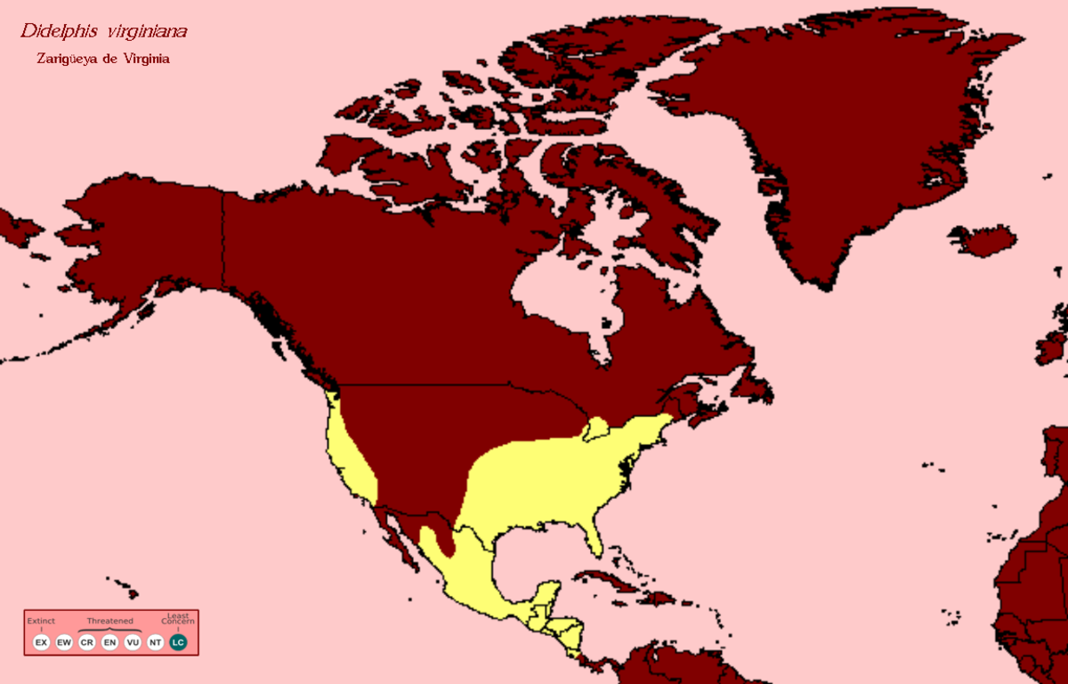 Aire de répartition de Didelphis virginiana