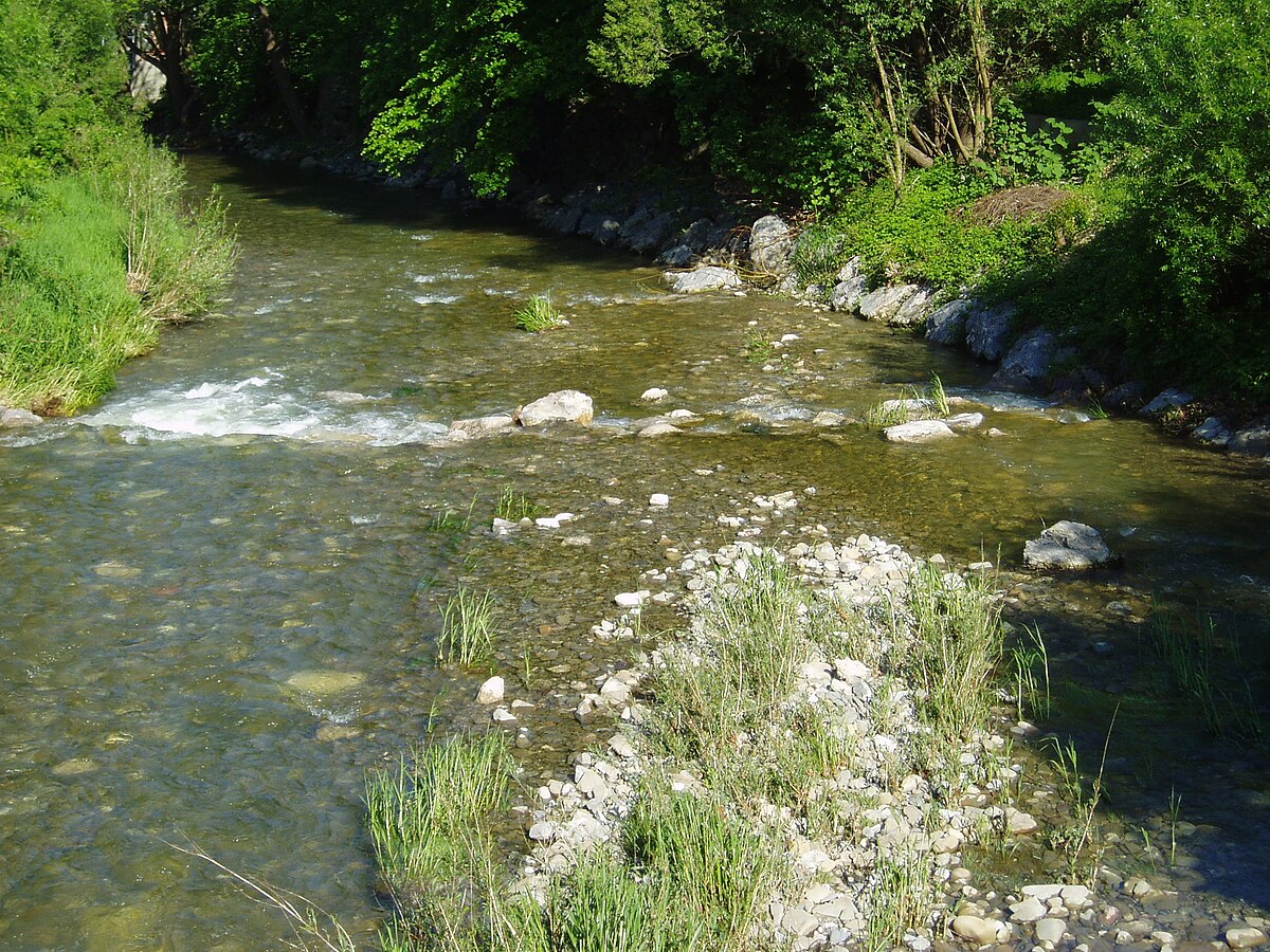 Schwechat (rivière)