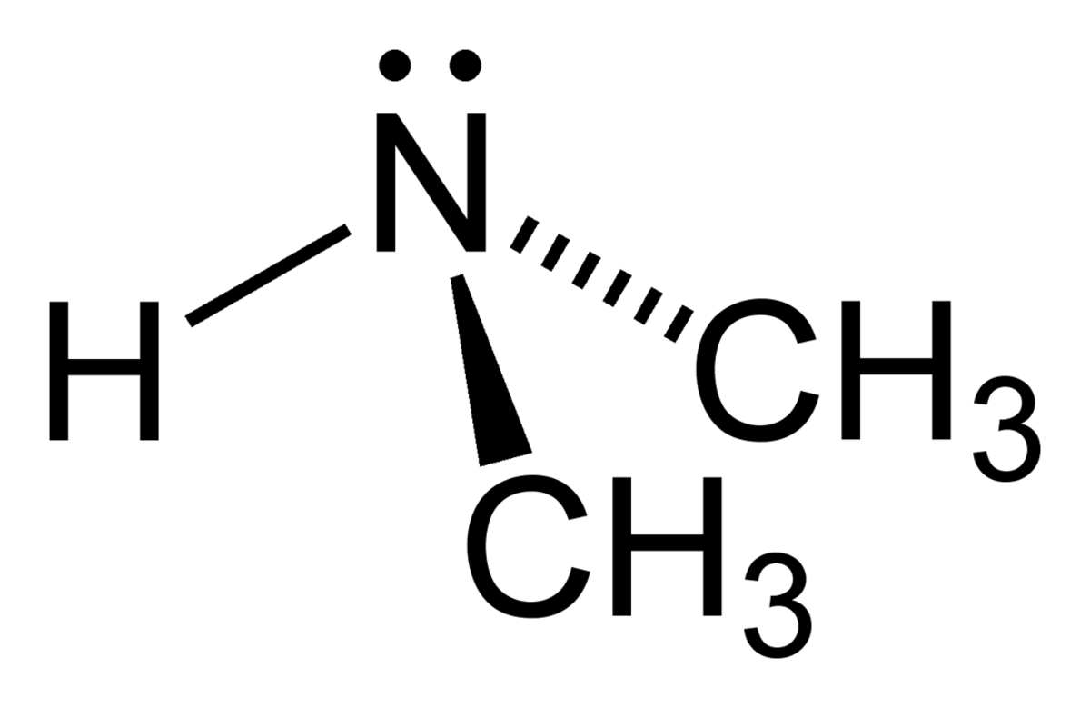 Diméthylamine