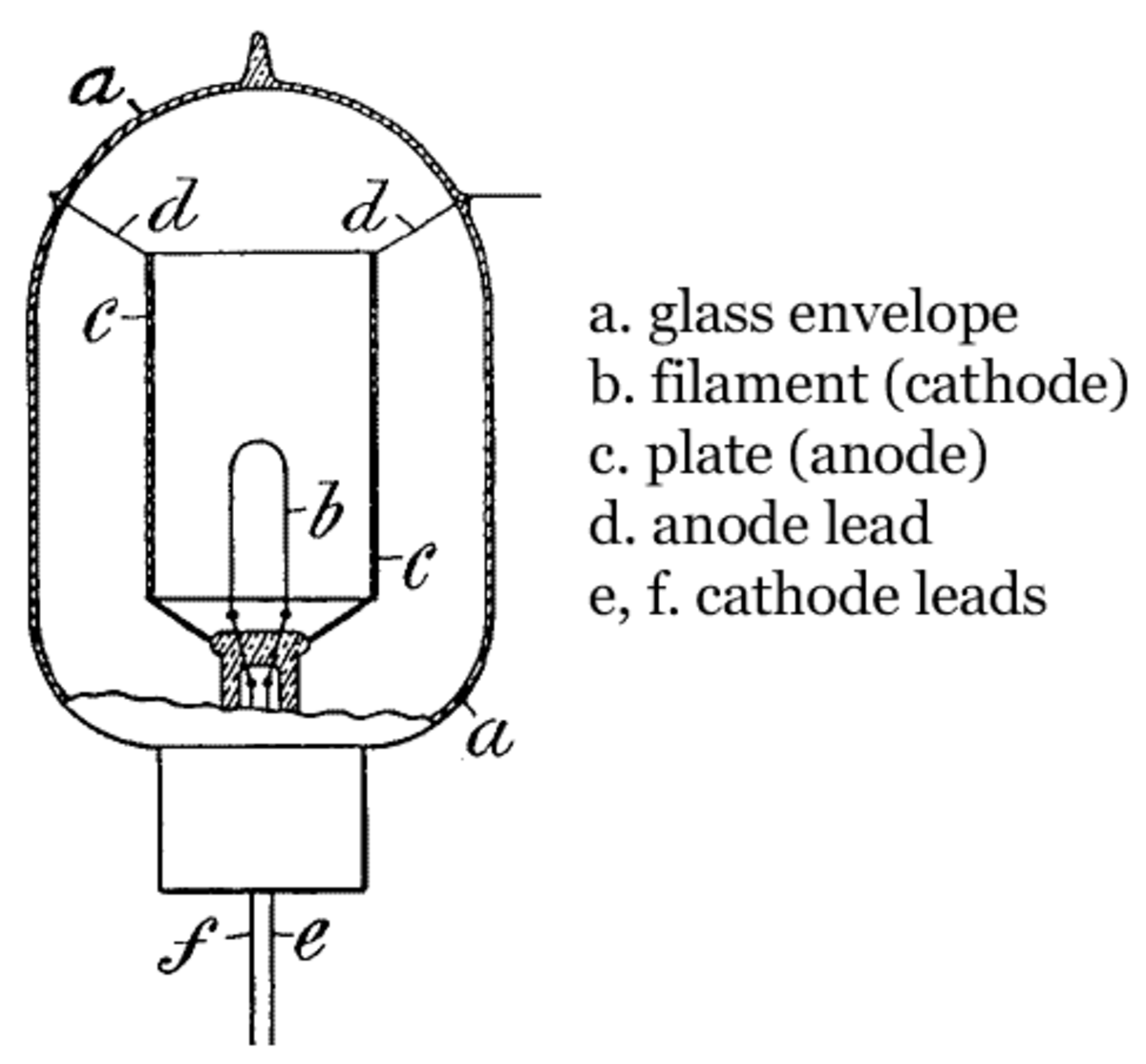 1905 en science