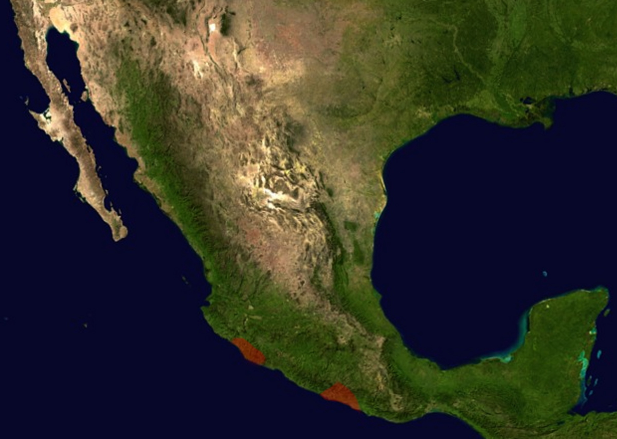 Distribution Brachypelma Smithi.png