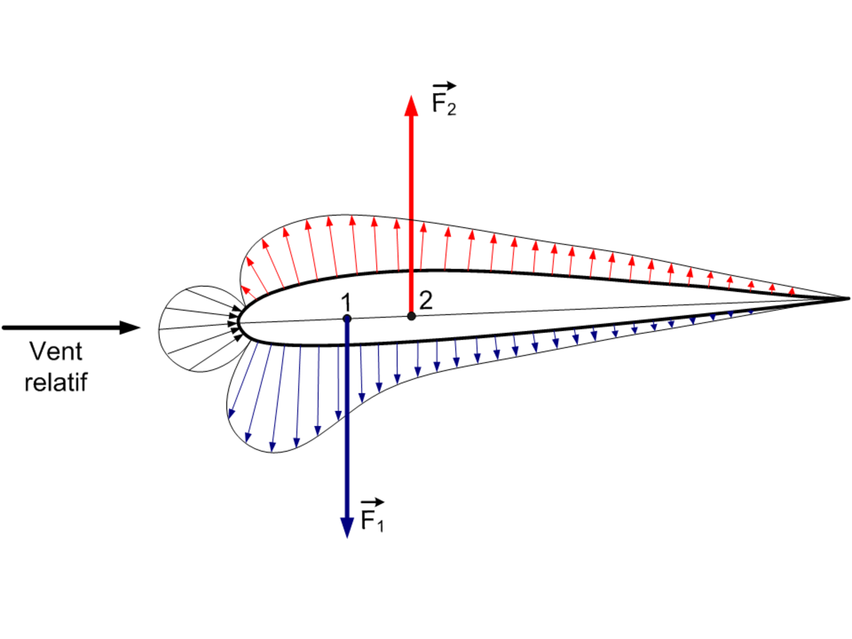 Stabilité longitudinale (aviation)