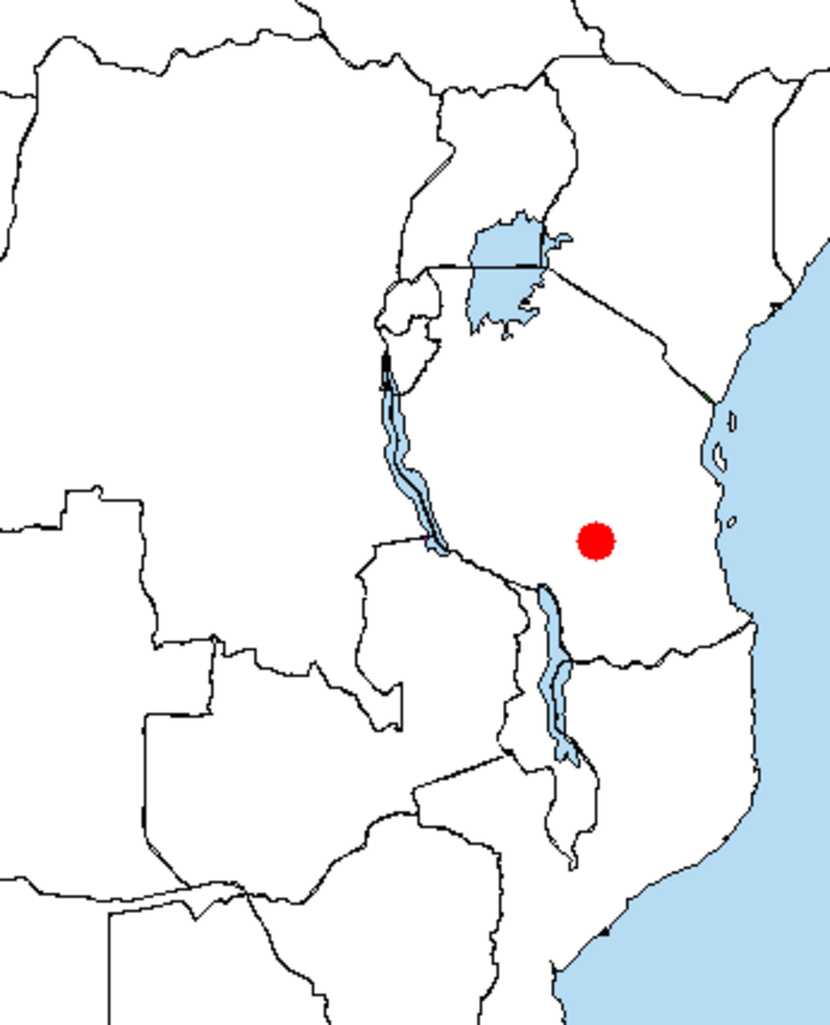 Rhynchocyon udzungwensis