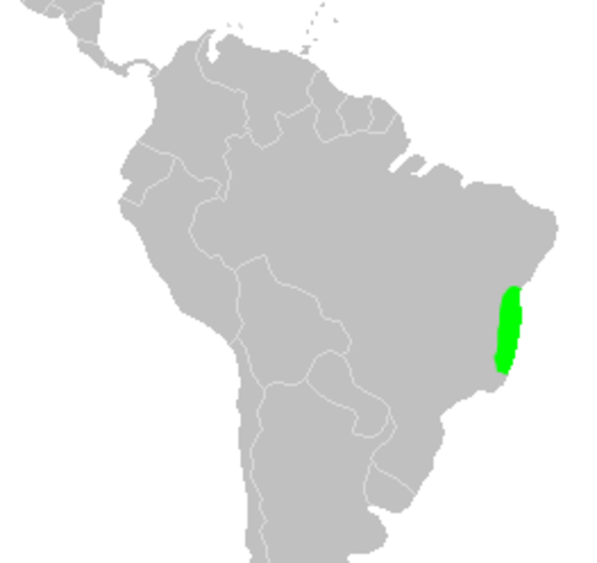 Distribution.ceasalpinia.echinata-2.png