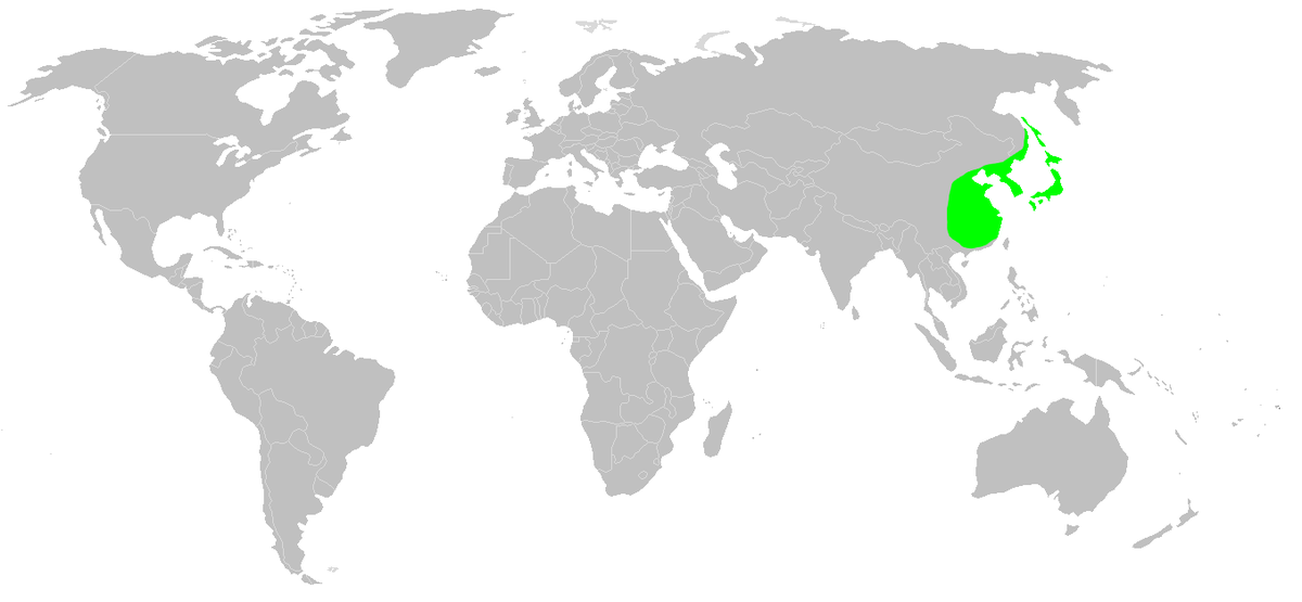Distribution.cercidiphyllum.japonicum.png