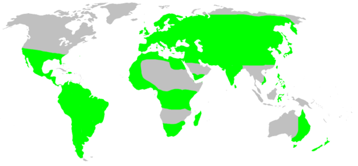 Distribution.mimetidae.1.png