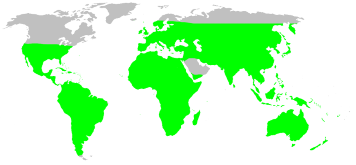 Distribution.miturgidae.1.png