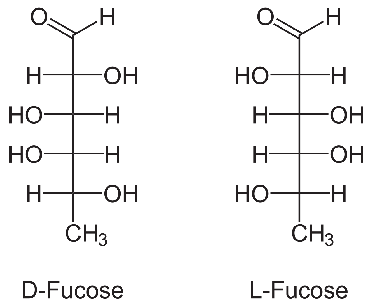 Fucose