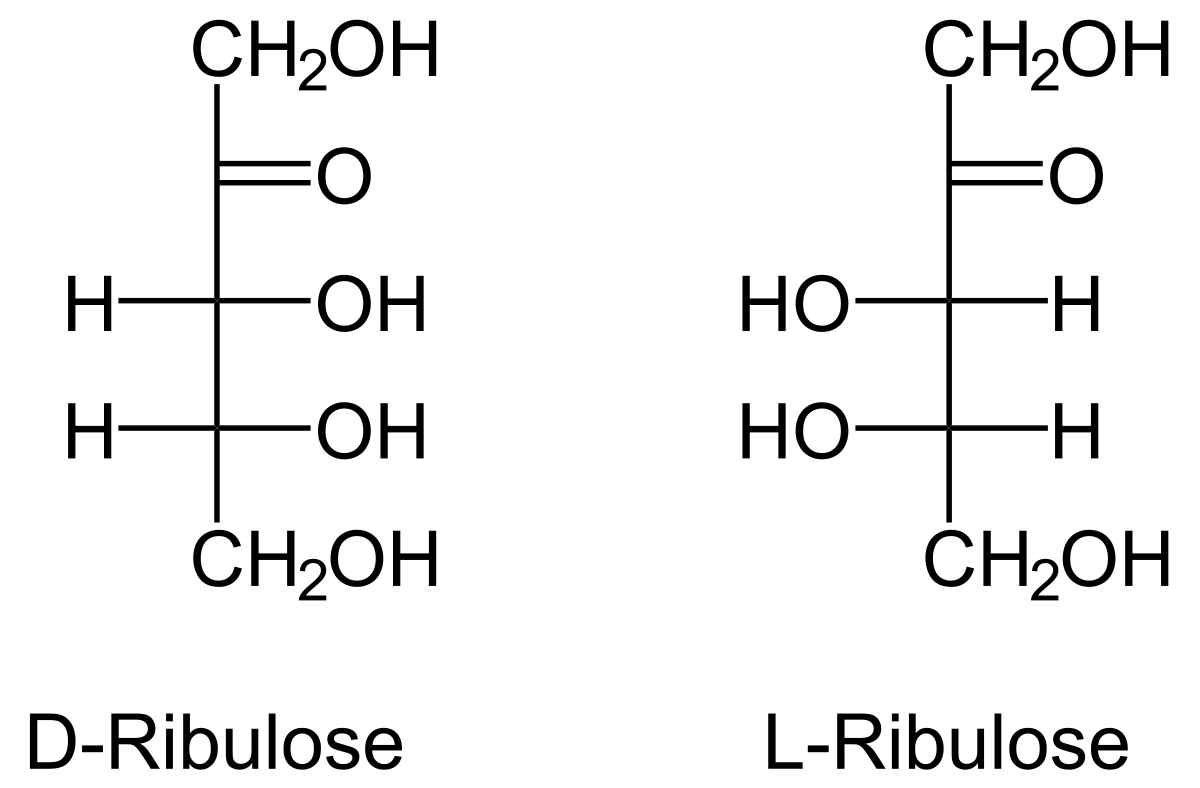 Ribulose