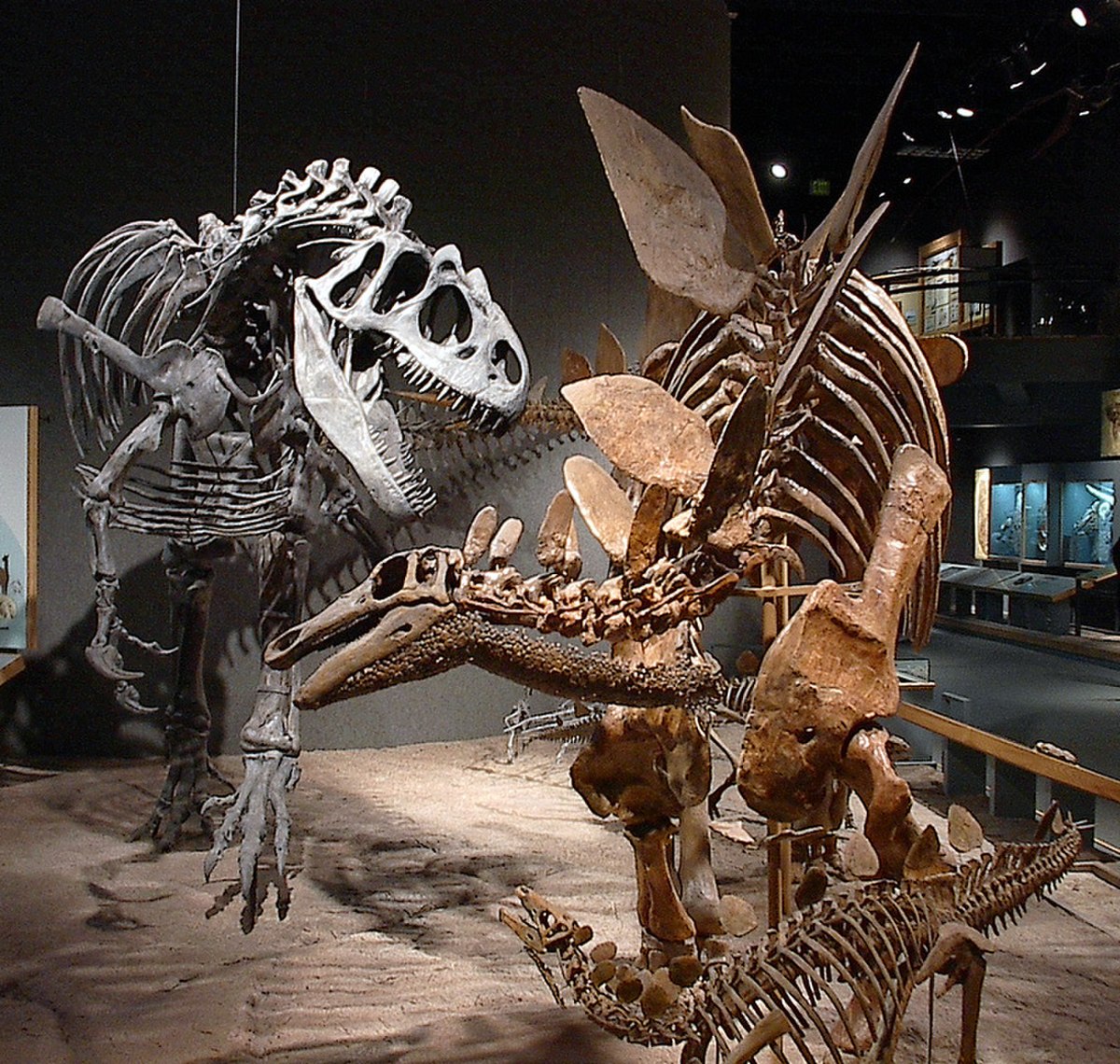 Dinosaure