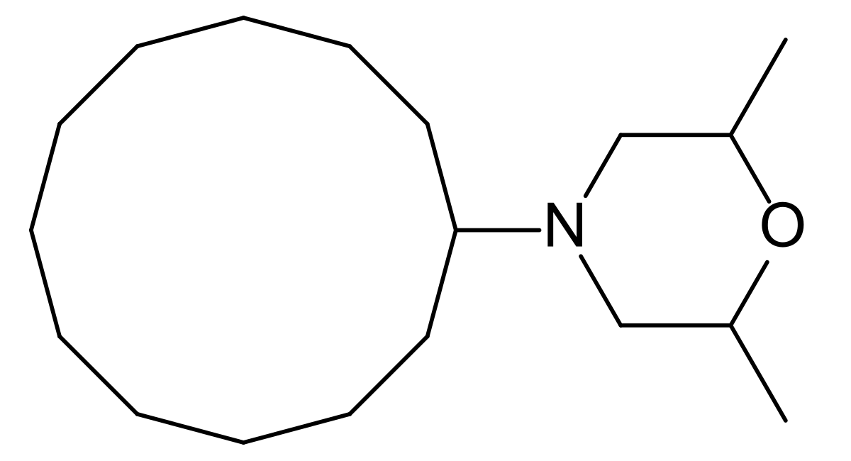 Dodémorphe