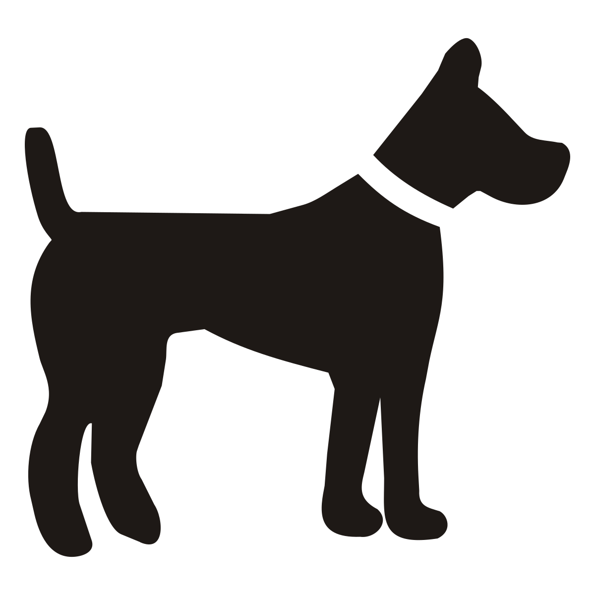 icône chien