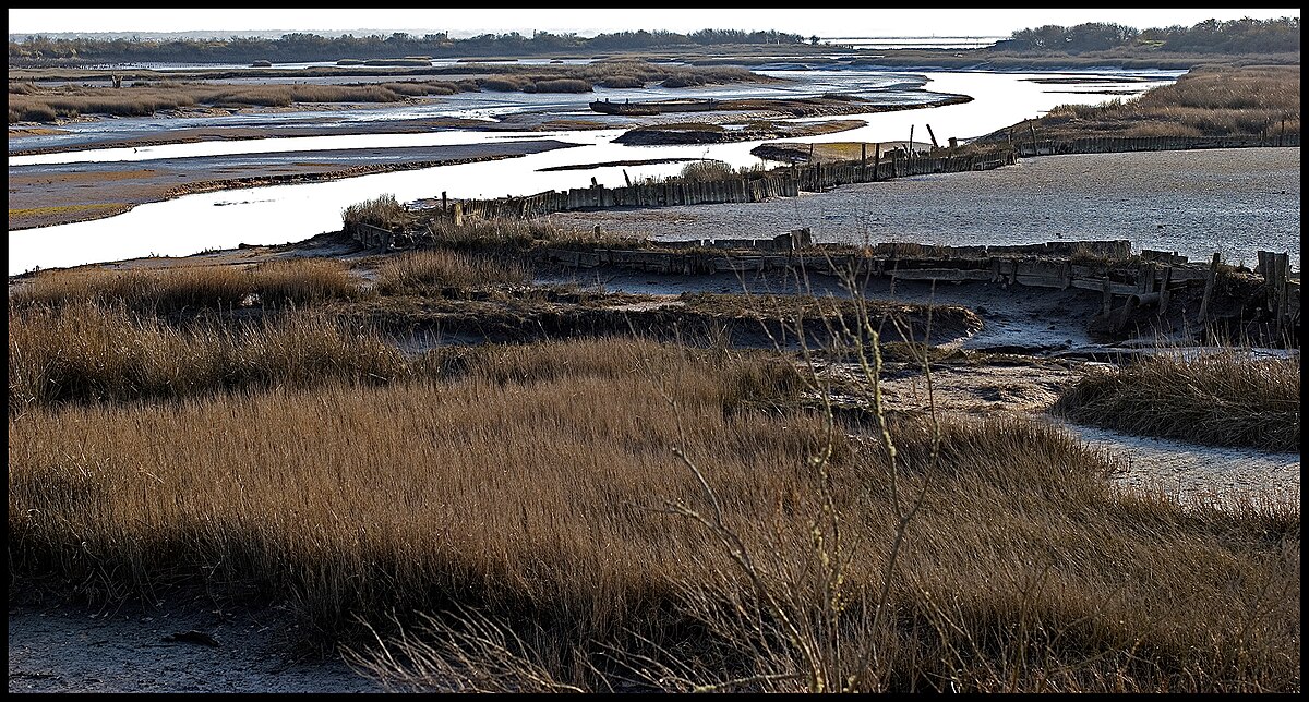 Le Domaine de Certes sur le Bassin d'Arcachon.