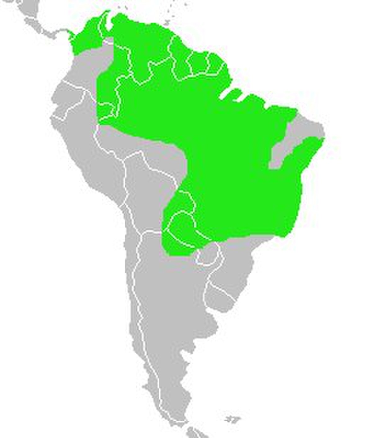 Donacobius atricapillus-map.jpg