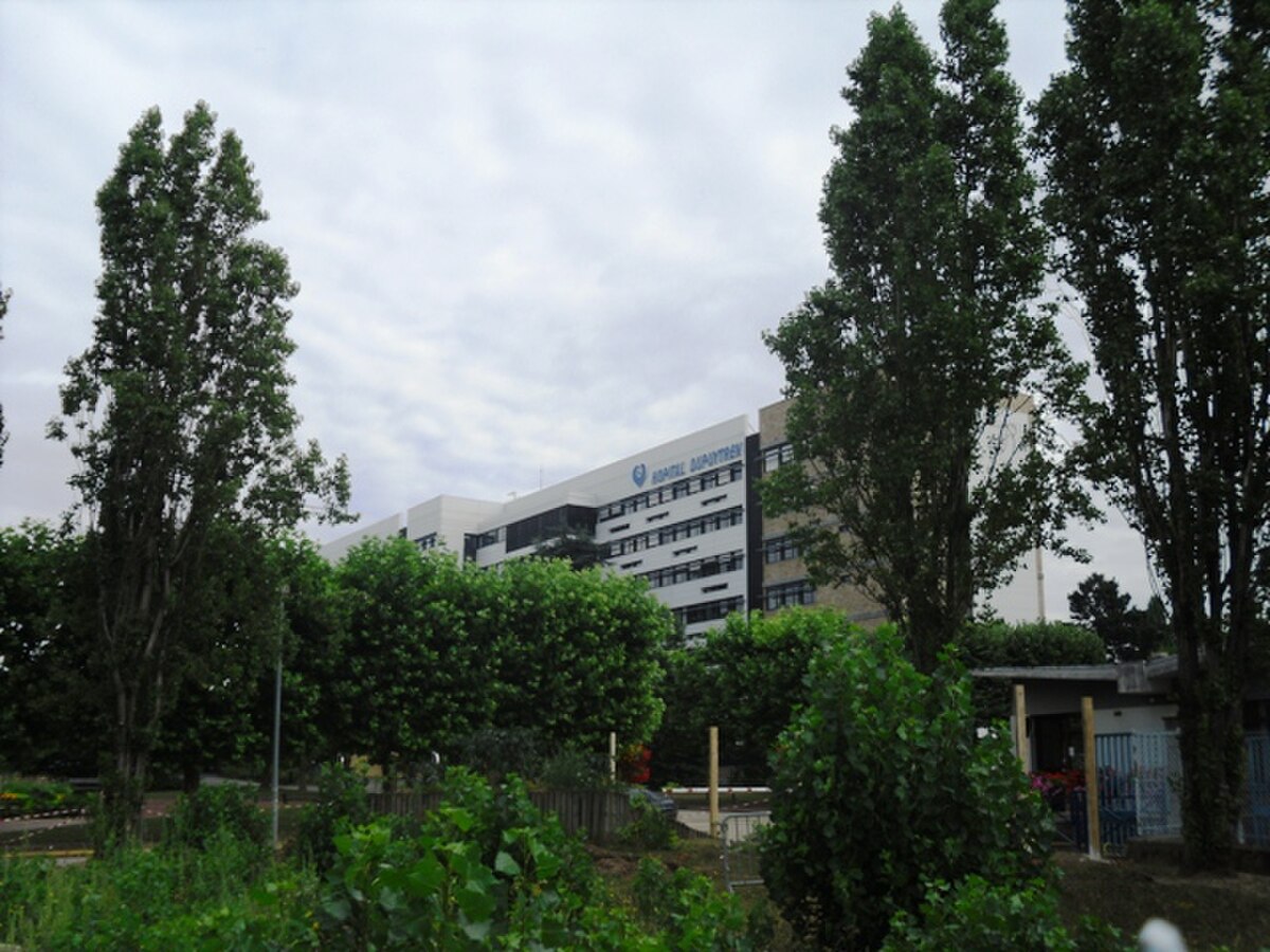 Hôpital Joffre-Dupuytren (Draveil)