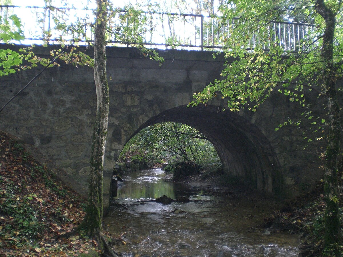 Drize 016.jpg