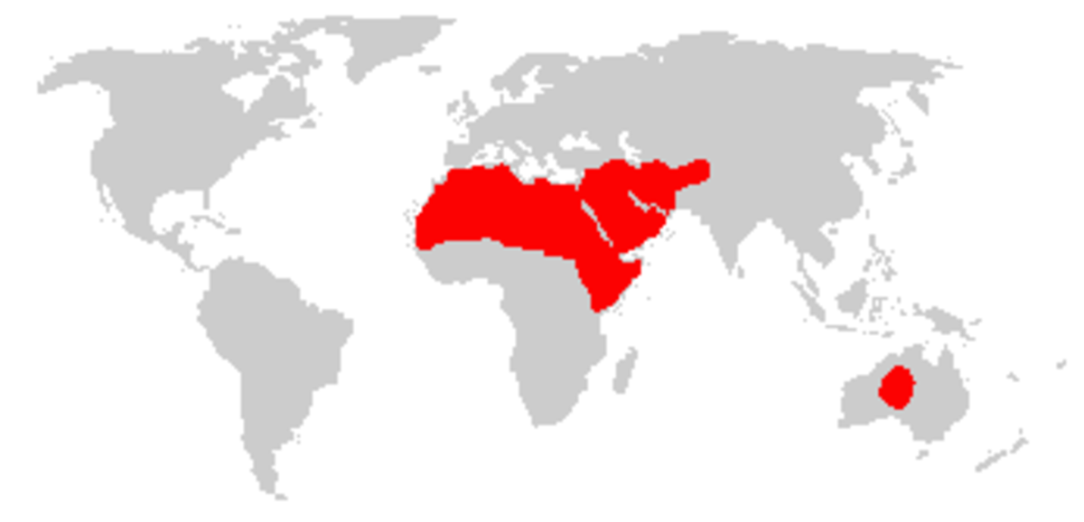 Dromedariesrange.png