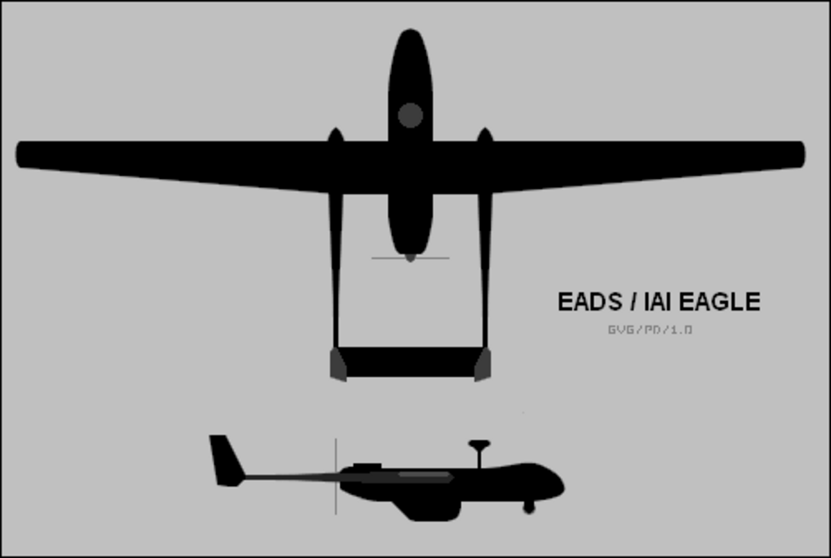 Système intérimaire de drones MALE
