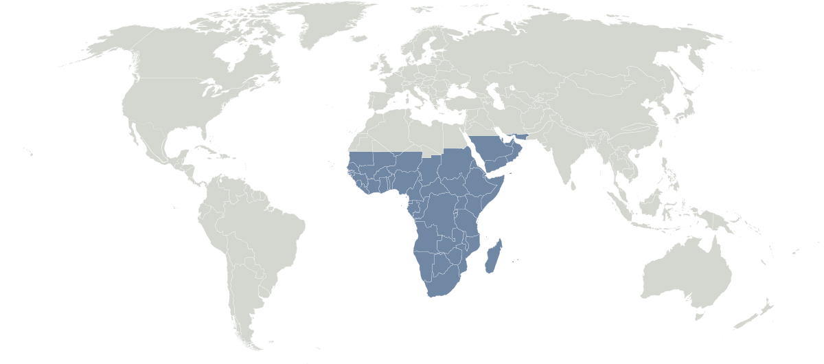 Écozone afrotropicale