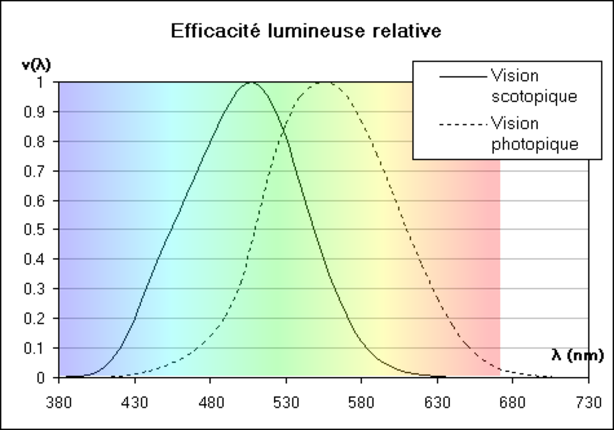 Comparaison des efficacités relatives des visions scotopique et photopique