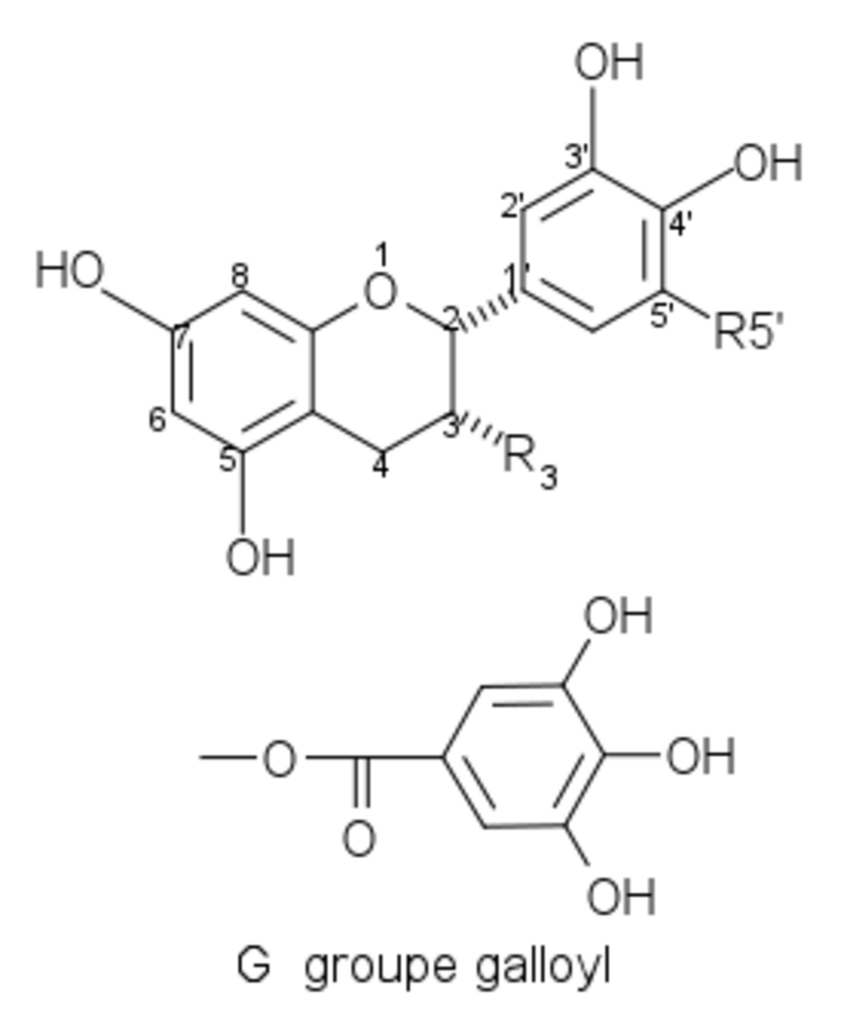 EG-EGC.png