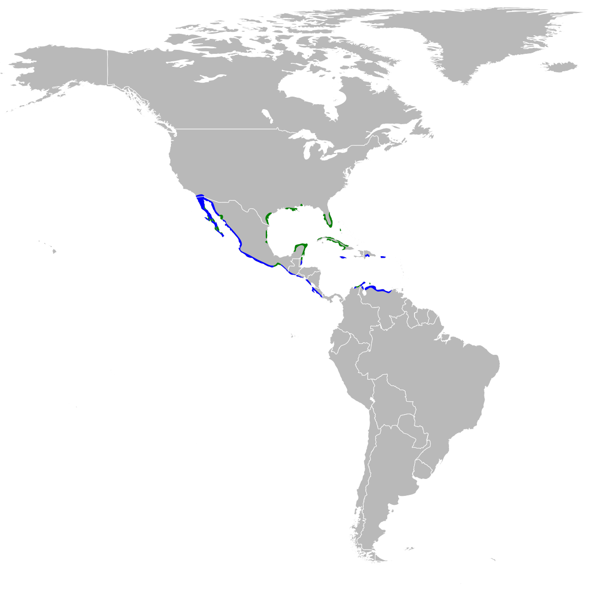 Egretta rufescens map.svg