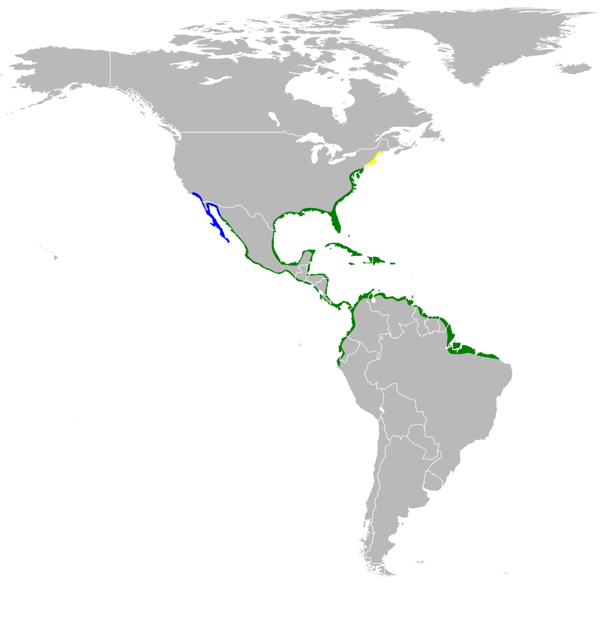 Egretta tricolor map.svg