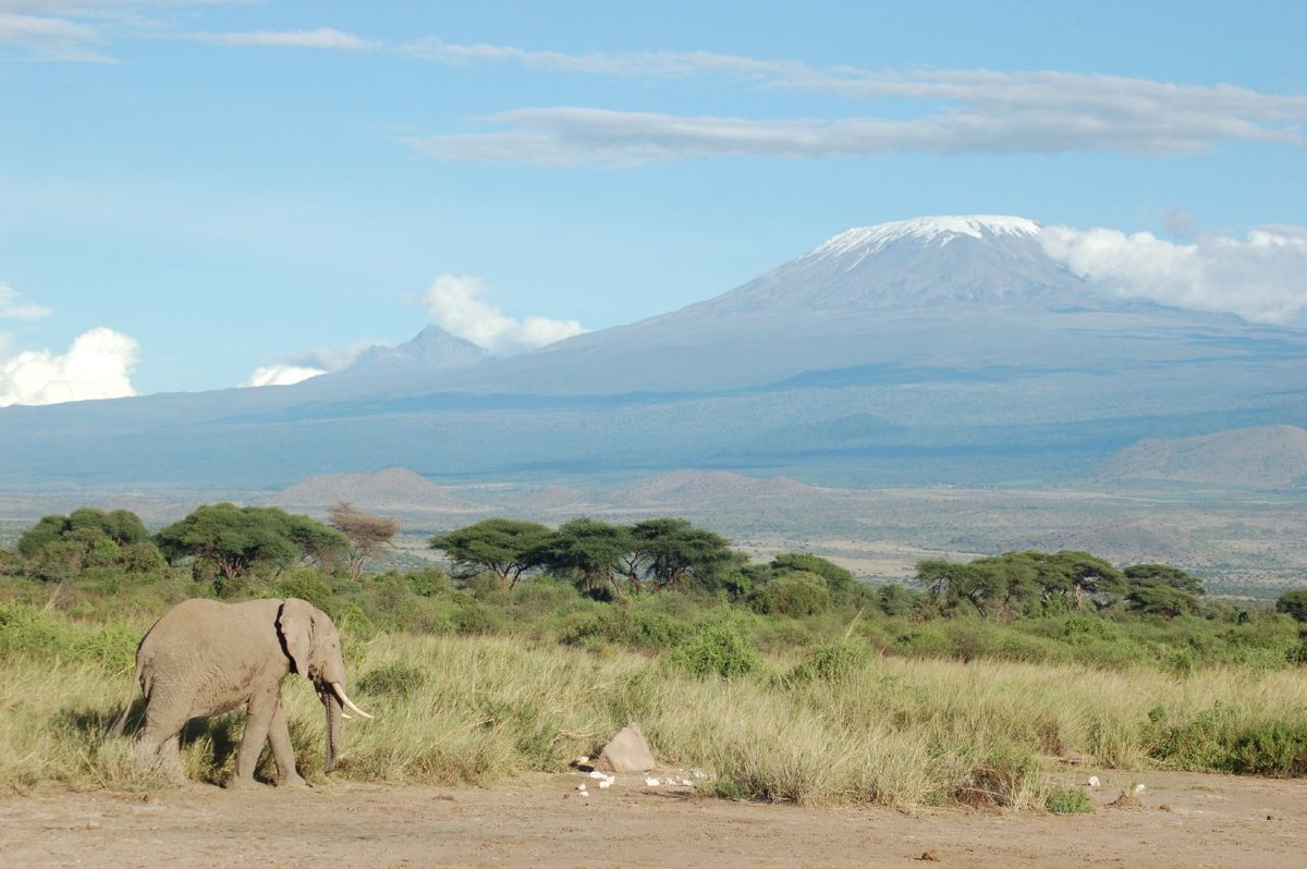 Kenya (bande dessinée)