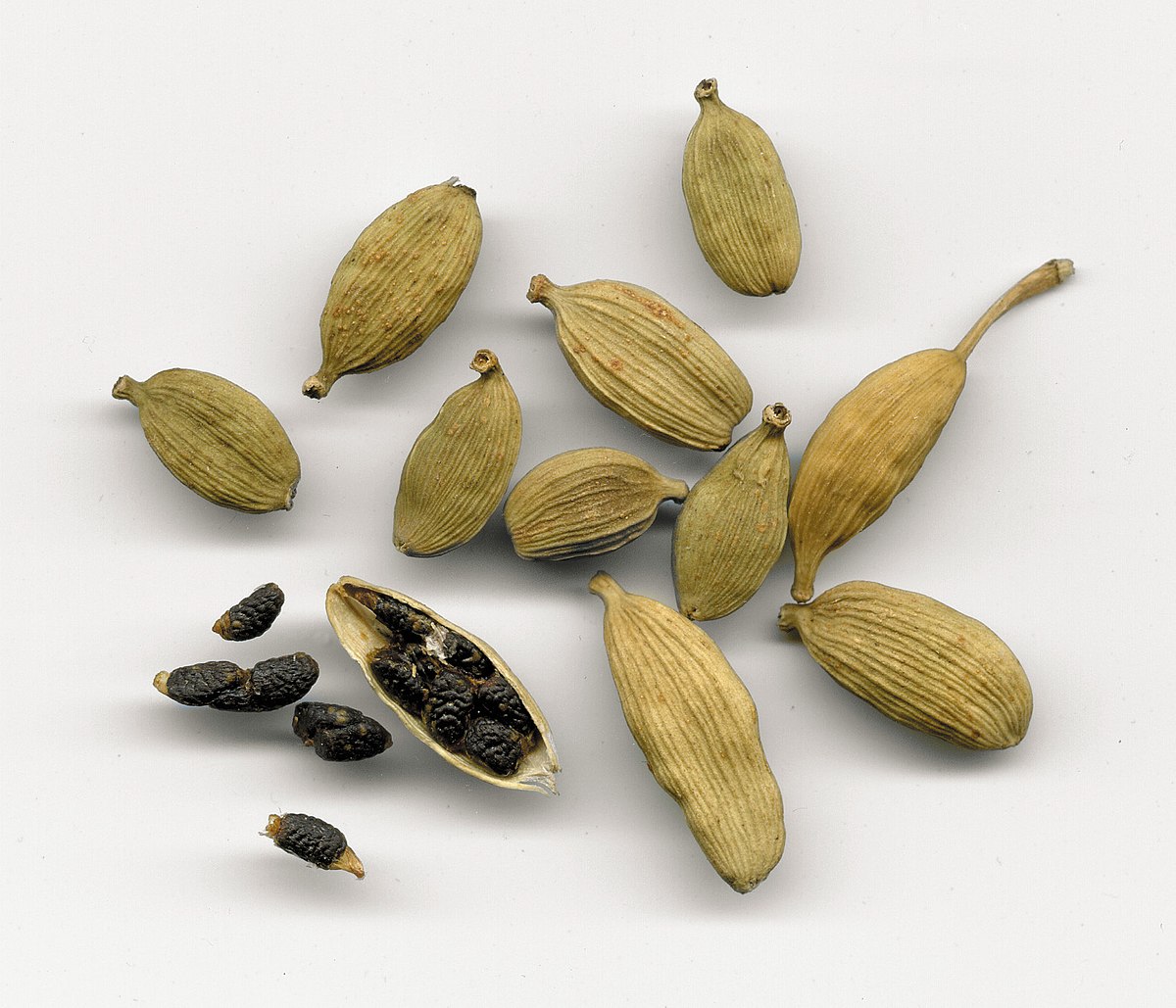 Cardamome