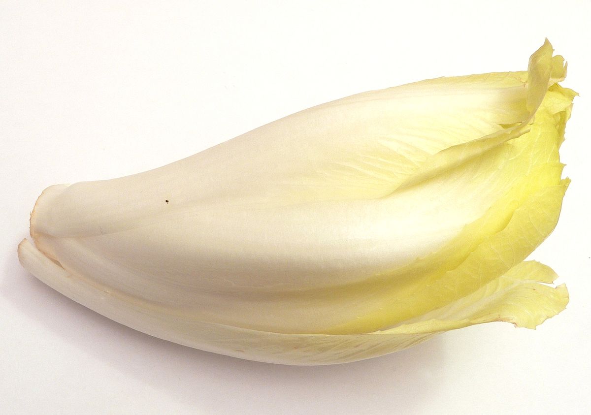 Endive prête à être consommée