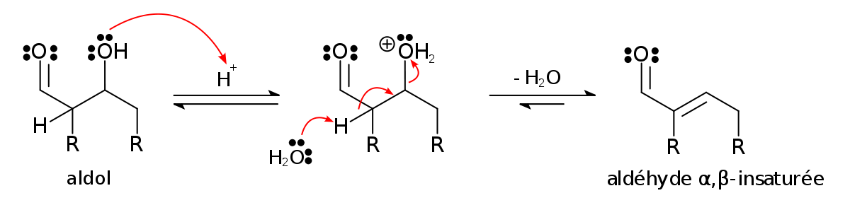 Mécanisme de la crotonisation (condensation) d'un aldol en catalyse acide.