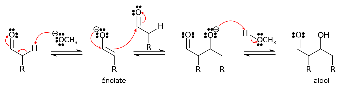 Mécanisme de la réaction d'un aldéhyde avec lui-même en catalyse basique.
