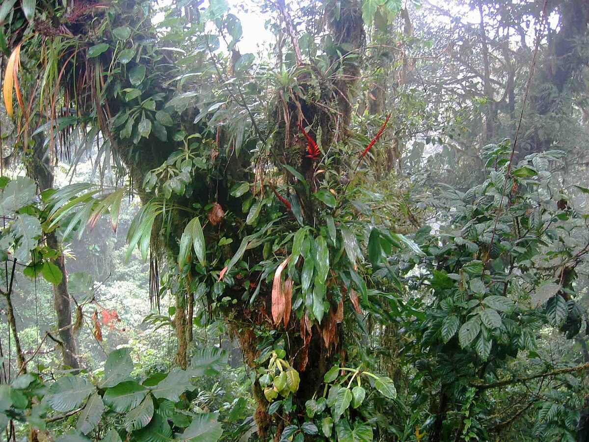 Biodiversité