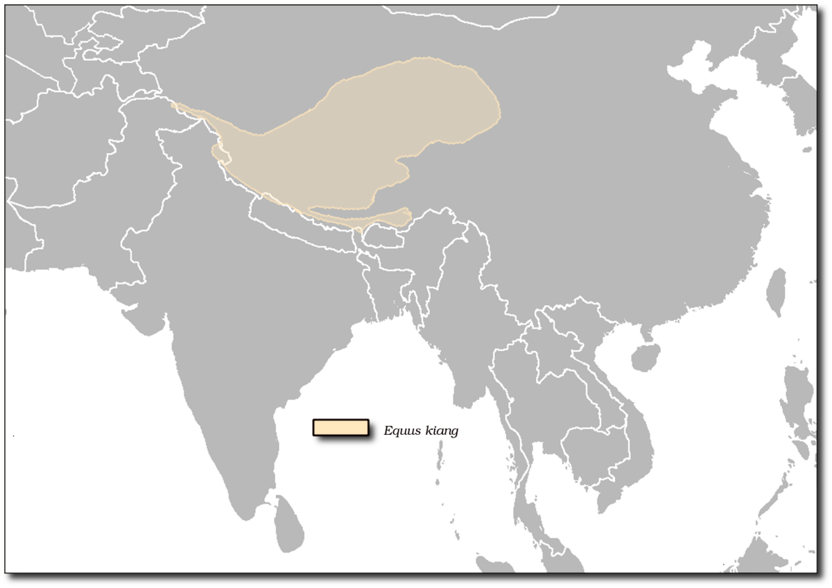 Carte de répartition des Kiangs
