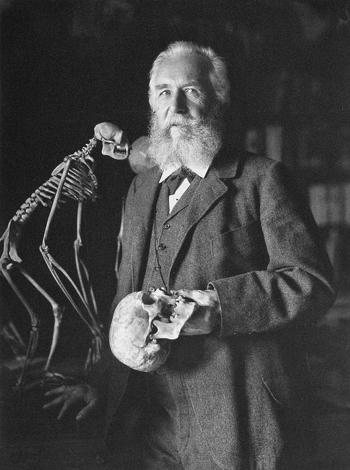 1919 en science