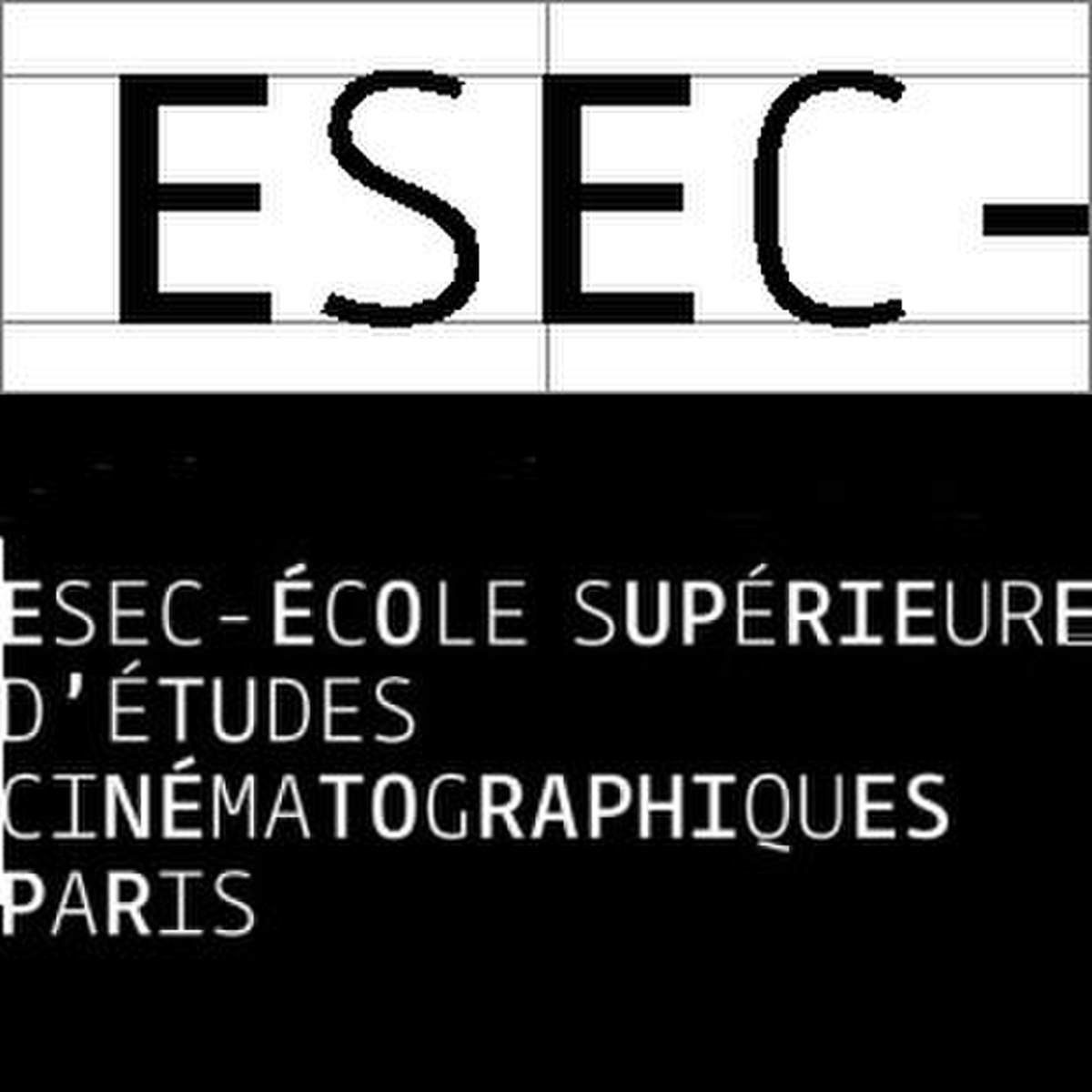 ESEC Logo.jpg