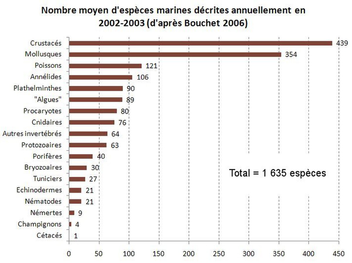 Espèces marines décrites annuellement.jpg