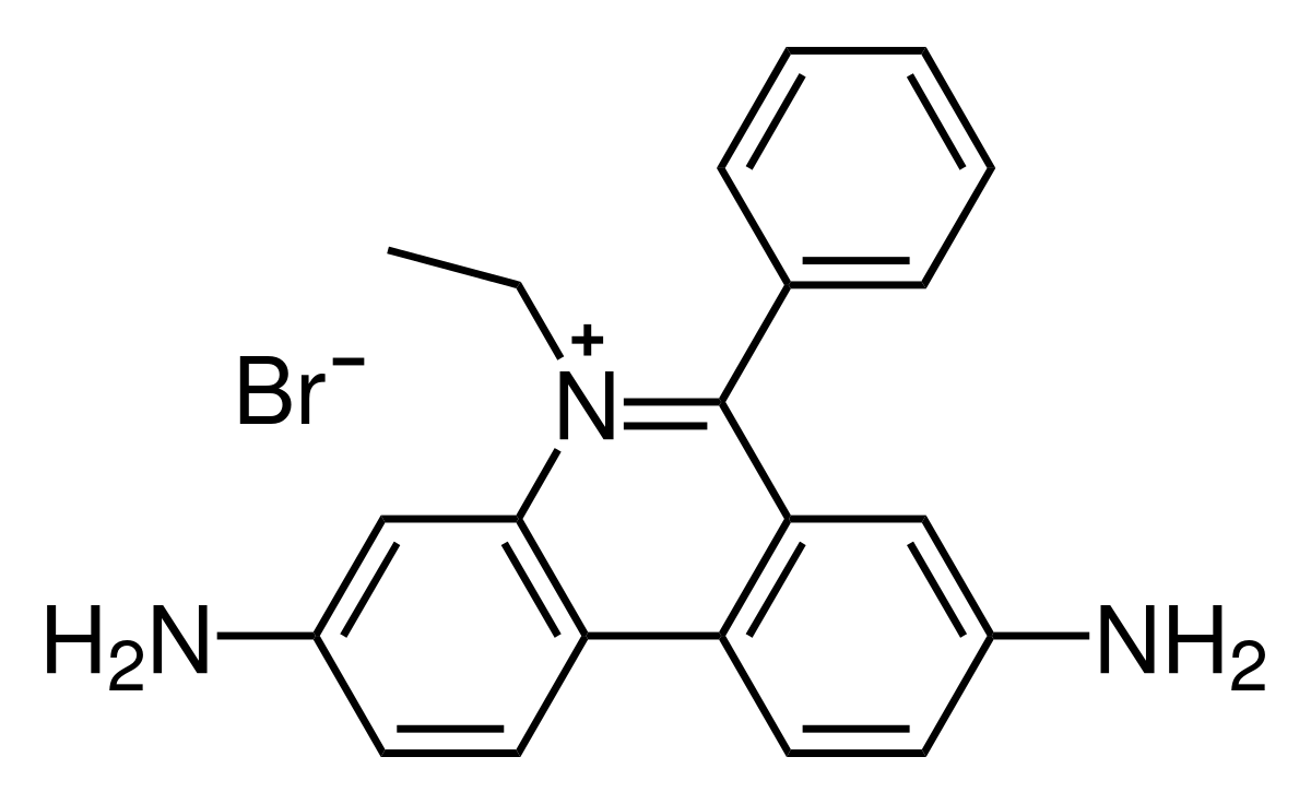 Bromure d'éthidium