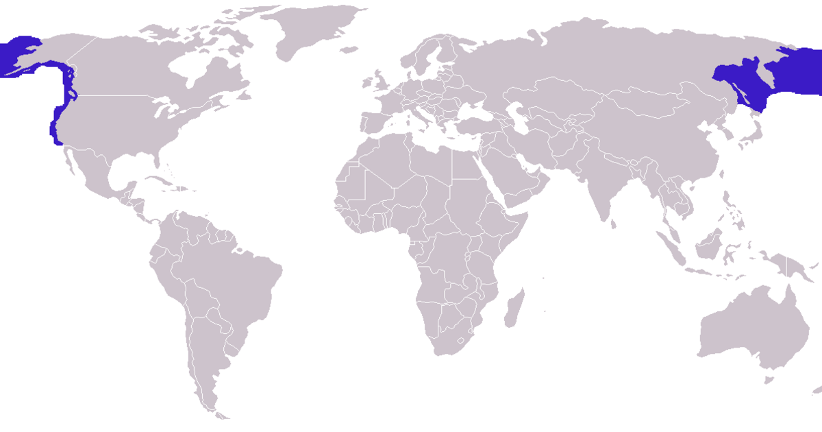 Eumetopias jubatus distribution.png