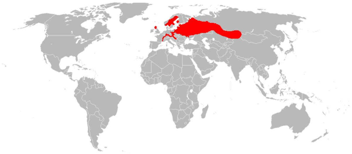 European beaver map.PNG