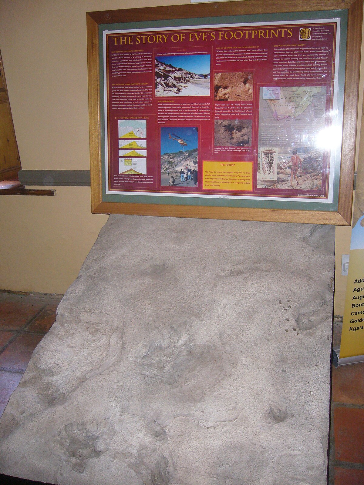 Footprints of Eve
