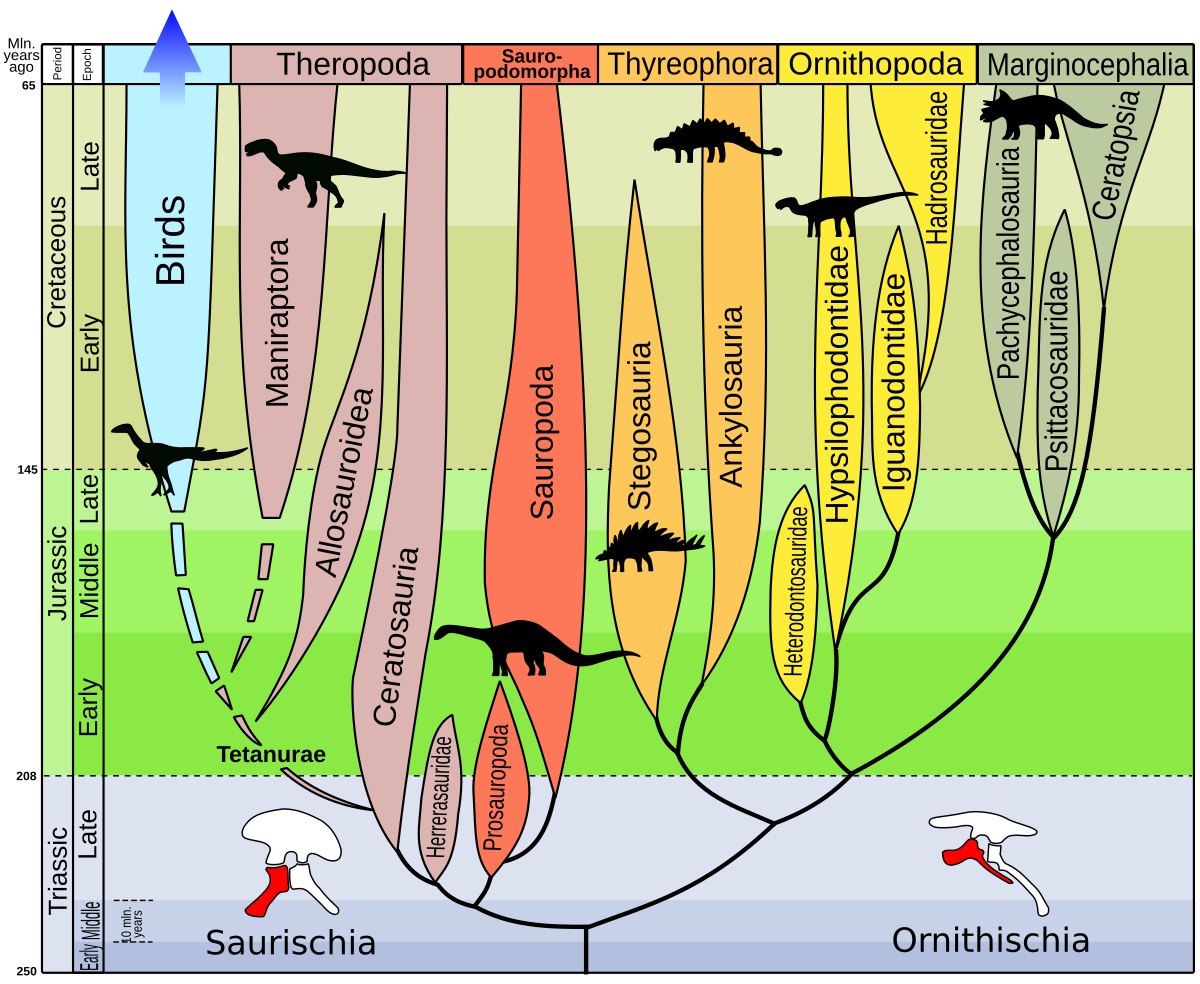 Histoire évolutive des dinosaures
