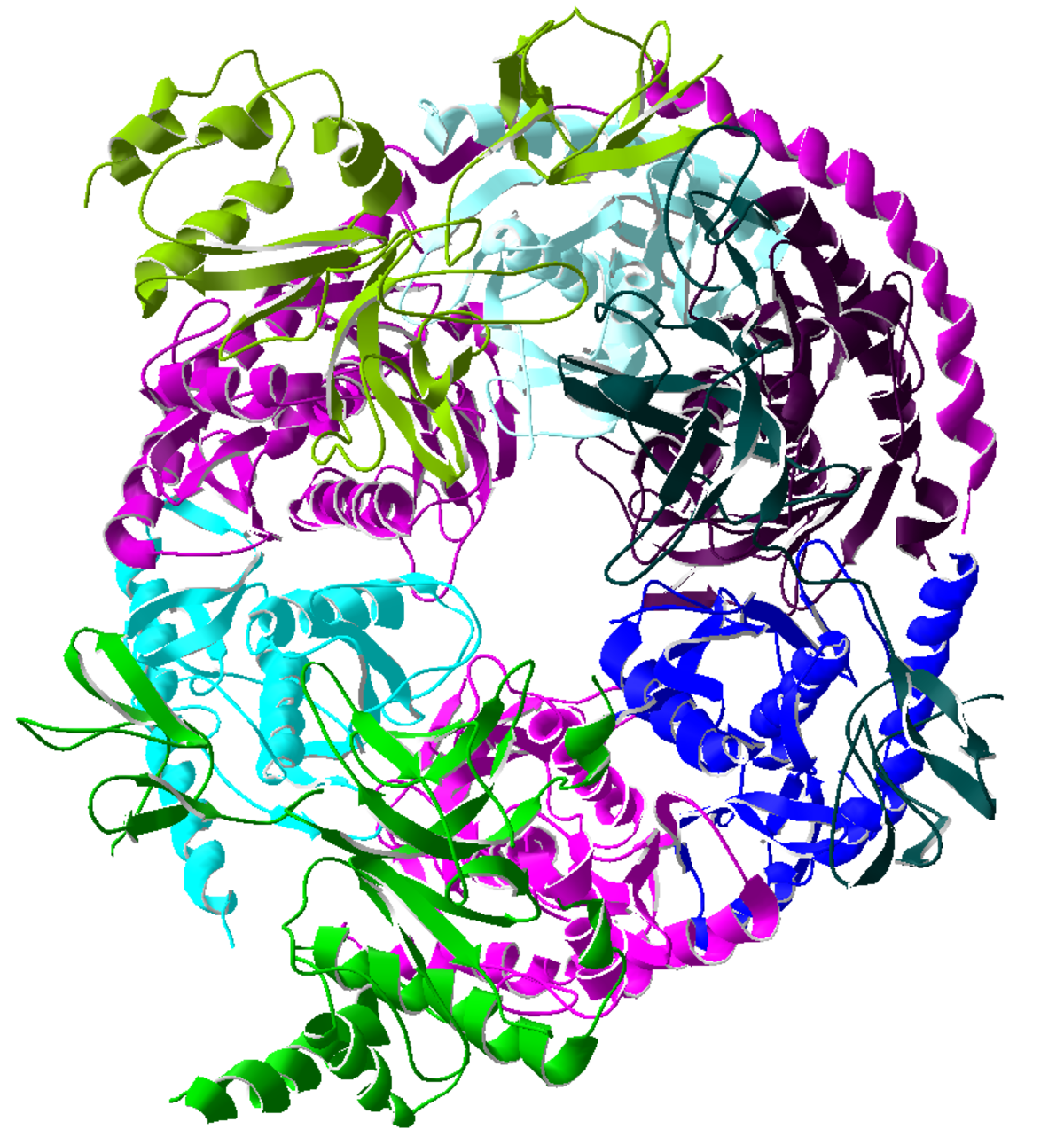 Exosome