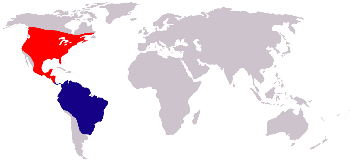 Falkennachtschwalbe (chordeiles minor) world.png