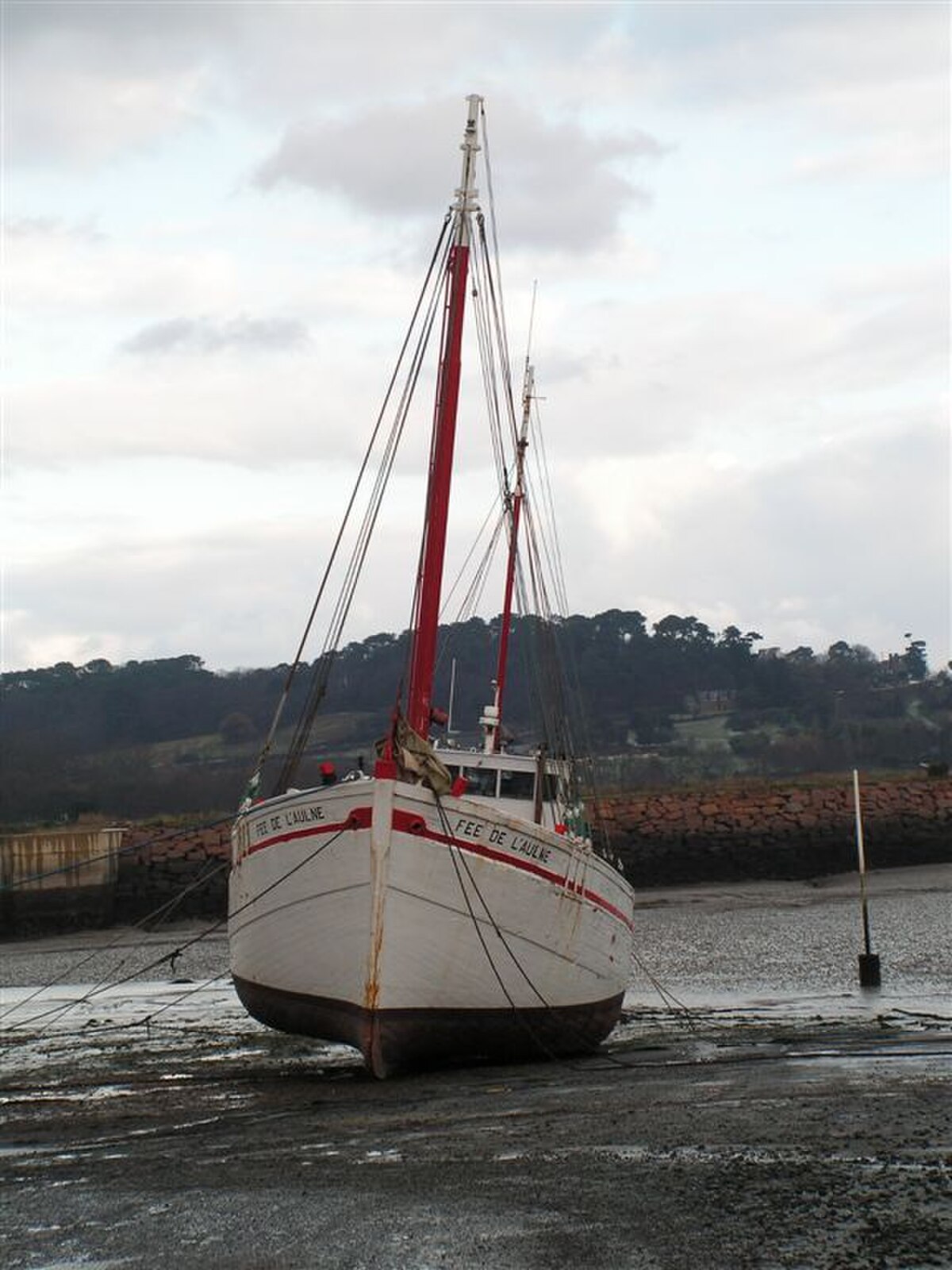 Fée de l'Aulne