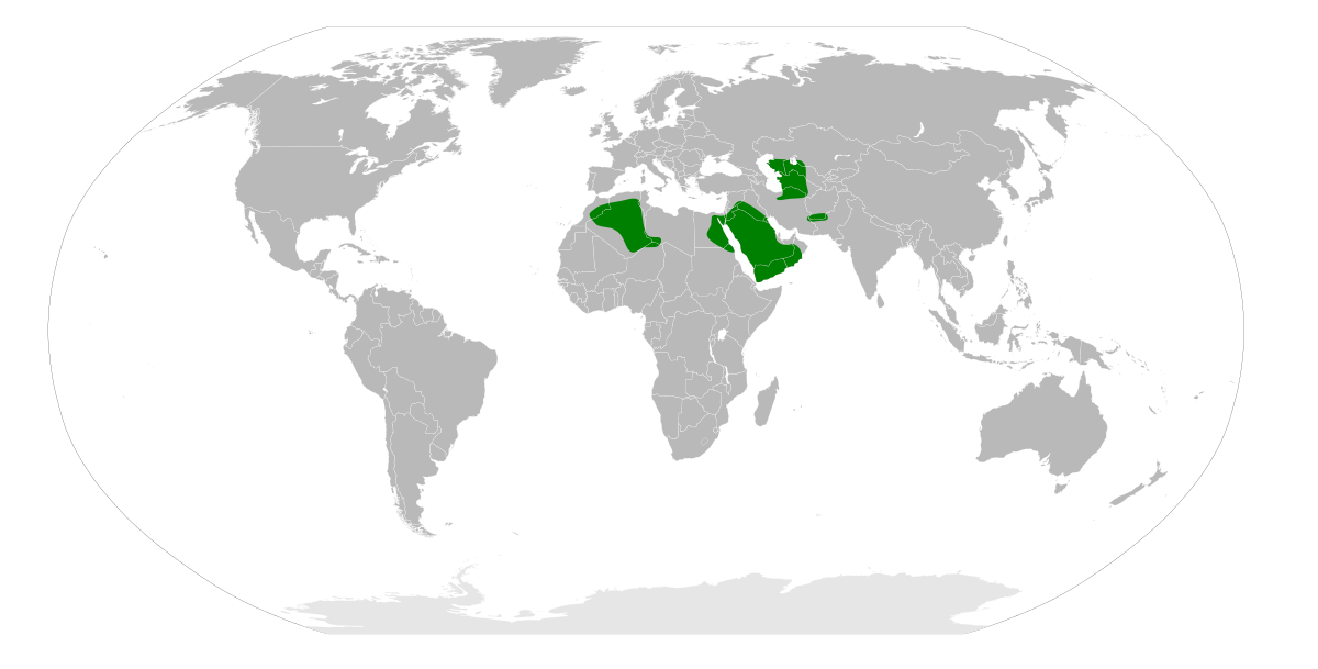 Felis margarita map.svg