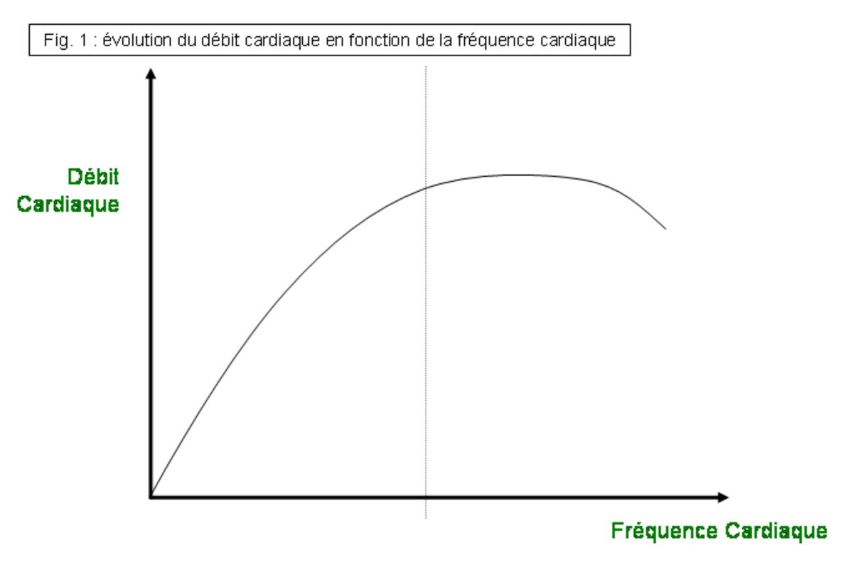 Insuffisance cardiaque canine