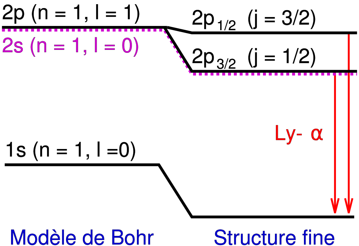 Structure fine